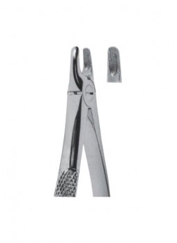 Extracting Forceps